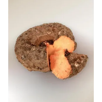 Natural Elephant Yam 